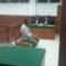 JJB sedang memberikan keterangan dalam persidangan di PN kalabahi, Kamis (02/05/2024). FOTO:OT/RP
