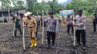 Kapolres Alor AKBP Supriadi Rahman, SIK, MM (tengah) didampingi salah satu pejabat utama di Polres setempat bersama Pj. Bupati Alor DR. Drs. Zet Sony LIbing, M.SI sedang menanam jagung. FOTO:DOK