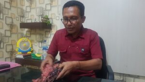 Kepala Satuan Reserse dan Kriminal Kepolisian Resort Alor IPTU. Anselmus Leza, SH dalam satu sesi foto dengan sejumlah senjata tajam yang disita dalam tawuran Wetabua-Kampung Baru belum lama ini. FOTO:MW/RP